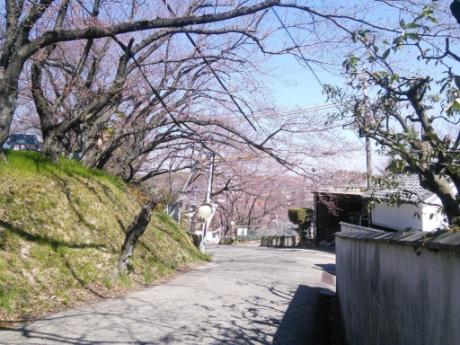 画像31